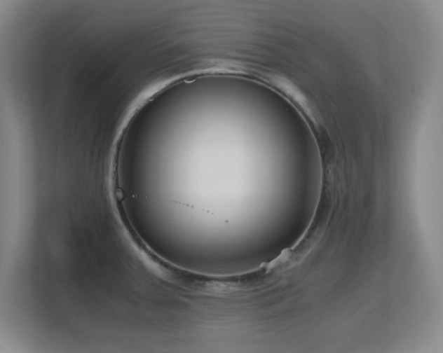 X0000110671379200906121301