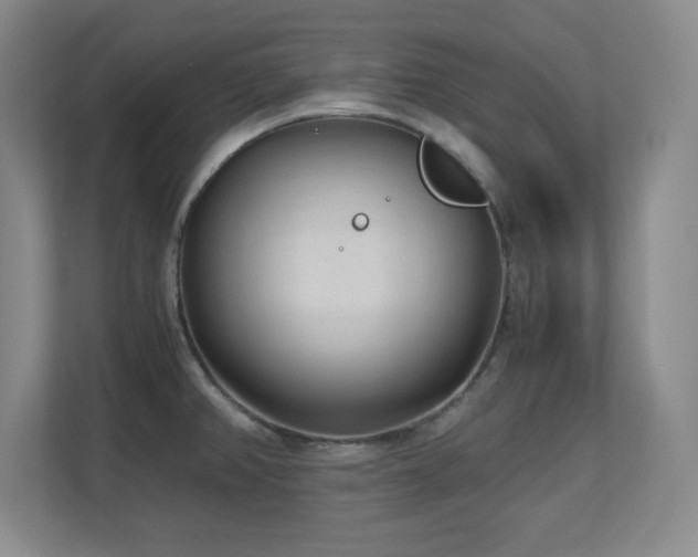 X0000110671382200906121301