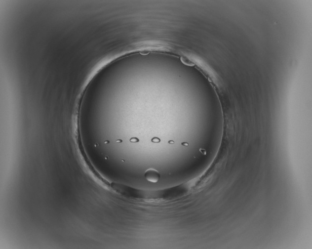 X0000110671383200906121301