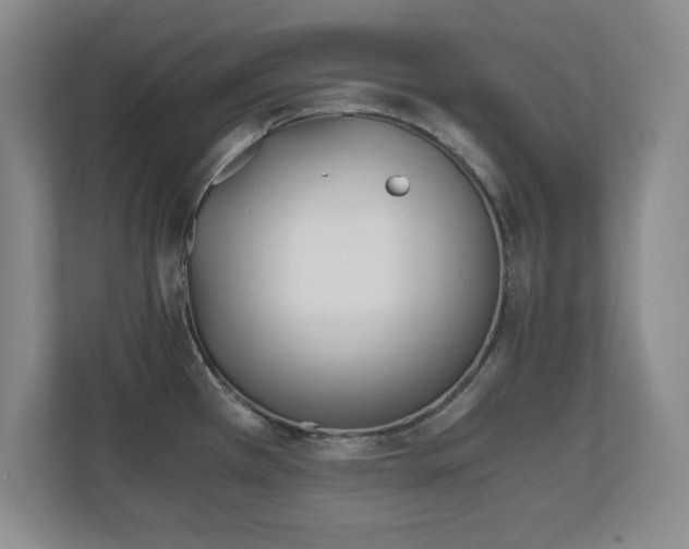 X0000110671385200906121301