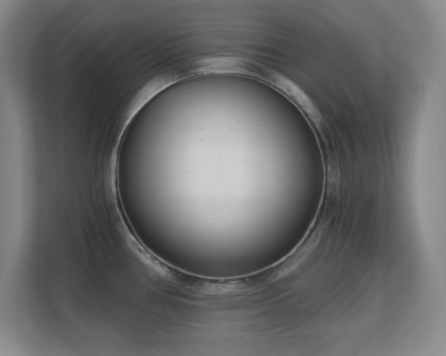 X0000110671386200906121301