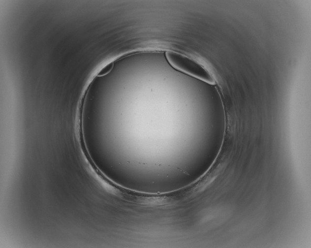 X0000110671387200906121301