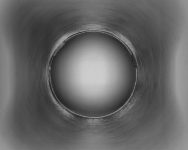 X0000110671389200906121301