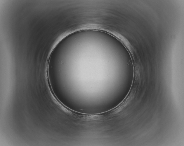 X0000110671390200906121301