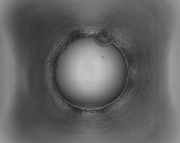 X0000110671393200906121300
