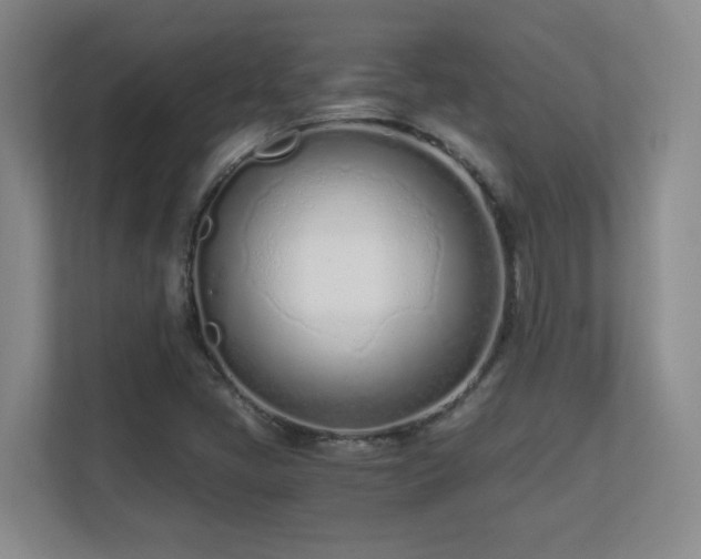 X0000110671405200906121300