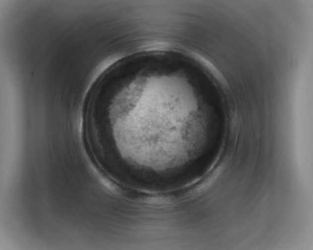 X0000110671418200906121300