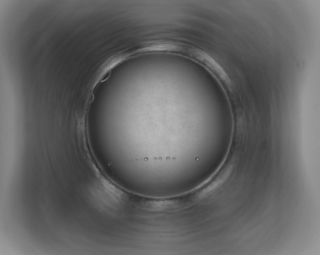 X0000110671425200906121300