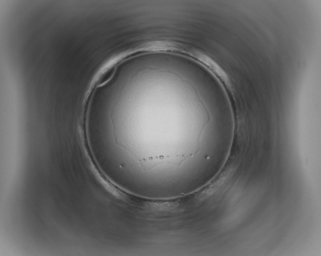 X0000110671429200906121301