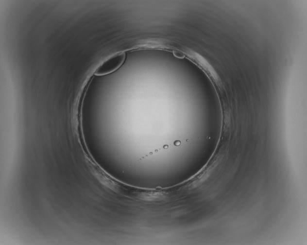 X0000110671435200906121301
