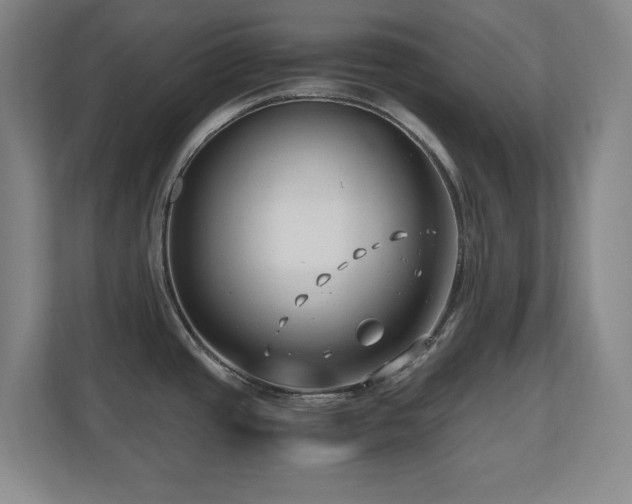 X0000110671437200906121301