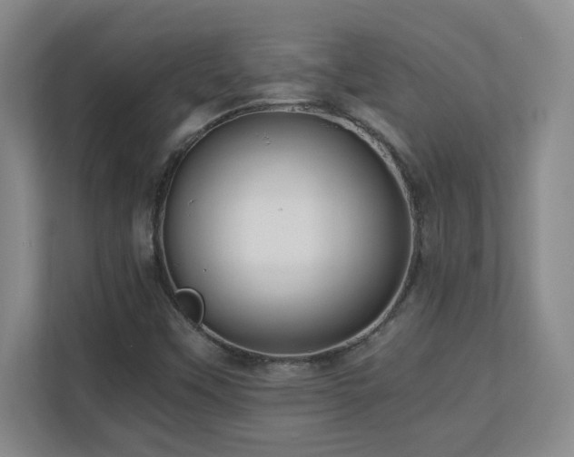 X0000110671451200906121300