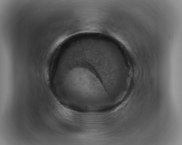 X0000110671455200906121300