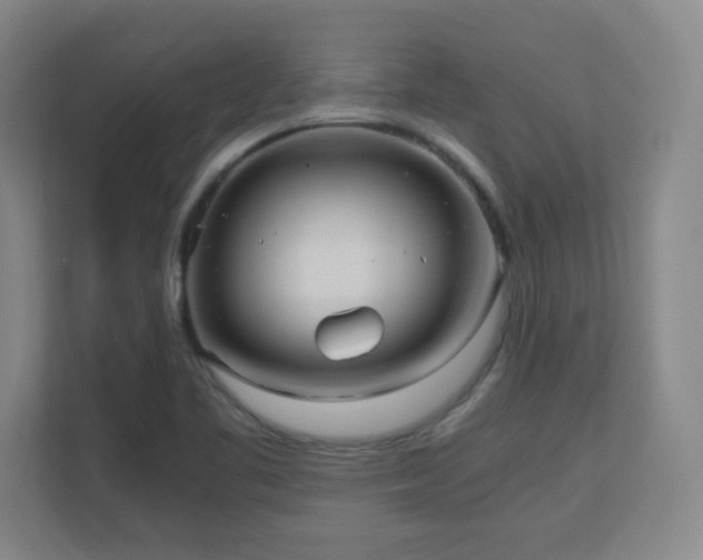 X0000110671461200906121300