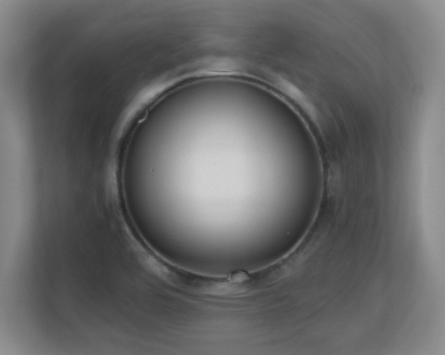 X0000110671464200906121300