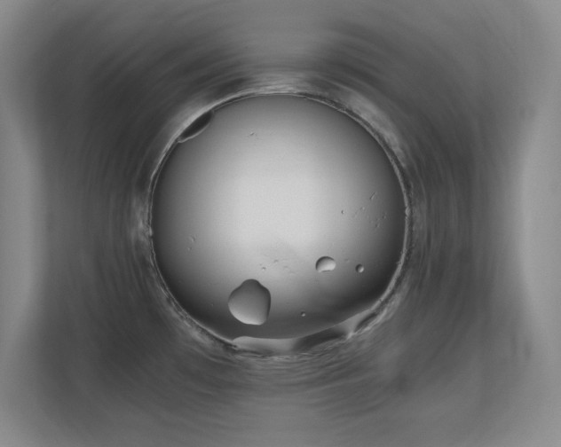 X0000110671481200906121259