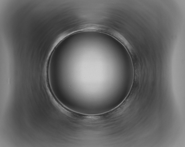 X0000110671483200906121259