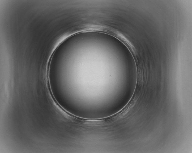 X0000110671487200906121259