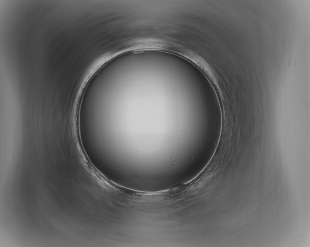 X0000110671488200906121259