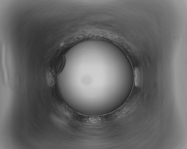 X0000110671491200906121259