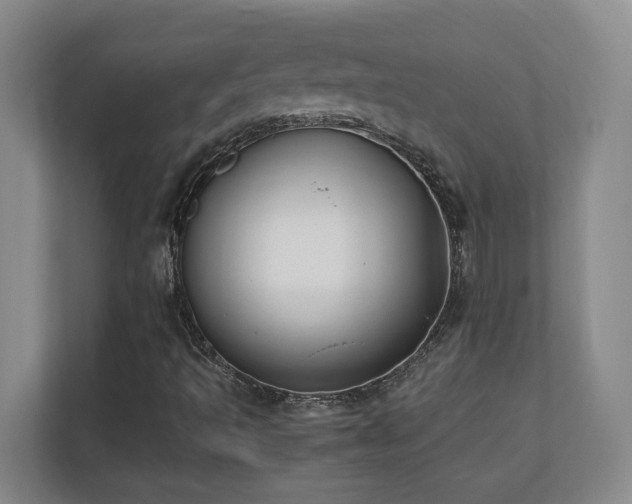 X0000110671493200906121259