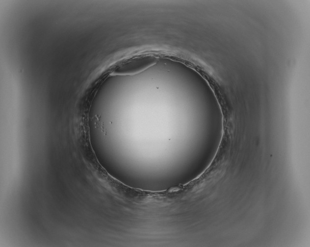 X0000110671496200906121259