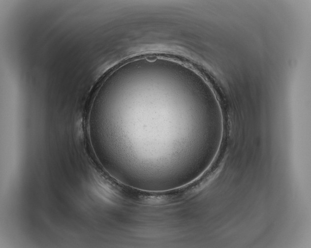X0000110671497200906121259