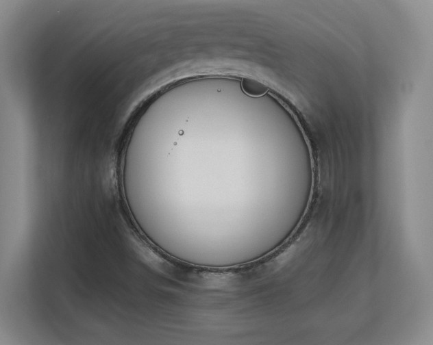 X0000110671498200906121259