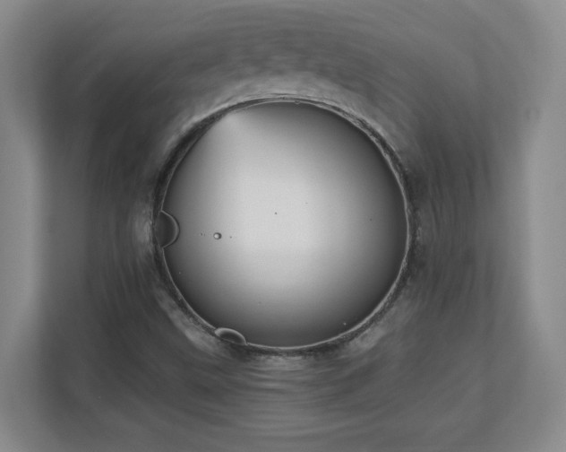 X0000110671499200906121259