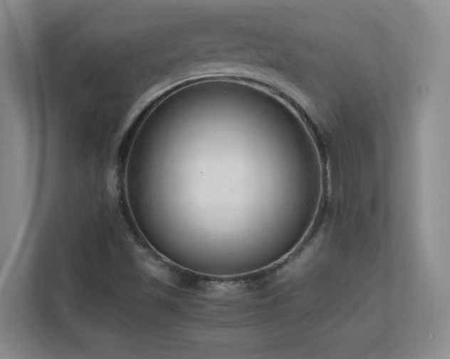 X0000110671501200906121259