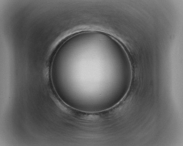 X0000110671503200906121259