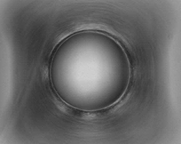 X0000110671505200906121259