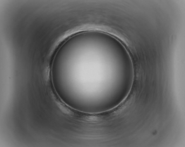 X0000110671507200906121259