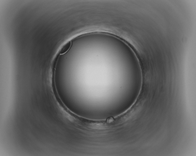 X0000110671508200906121259