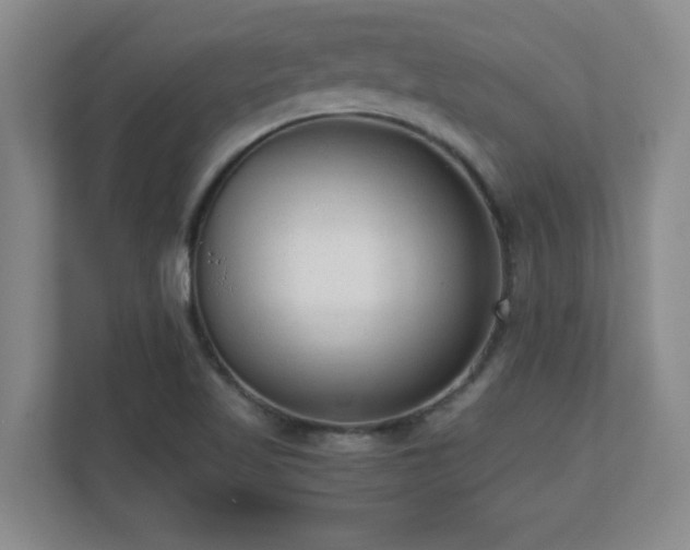 X0000110671509200906121259