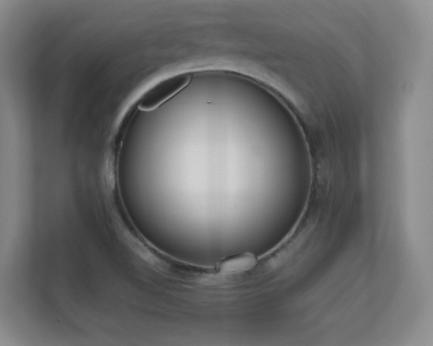X0000110671510200906121259