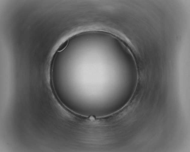 X0000110671512200906121259