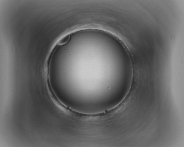 X0000110671519200906121259
