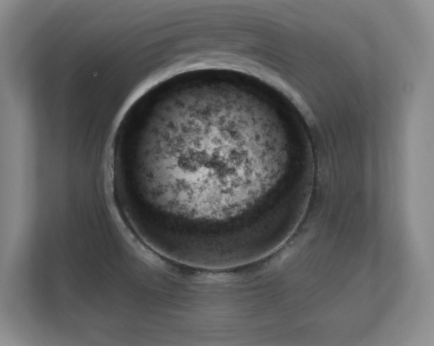 X0000110671522200906121259