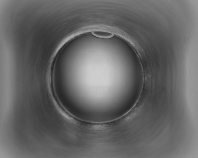 X0000110671523200906121259