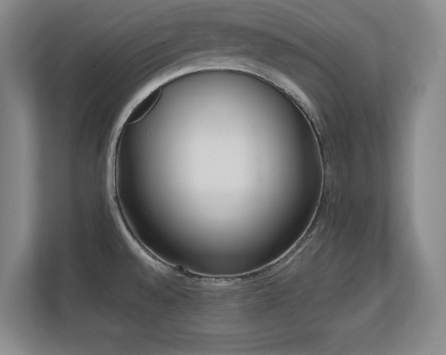 X0000110671528200906121259