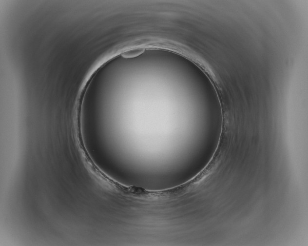 X0000110671530200906121259