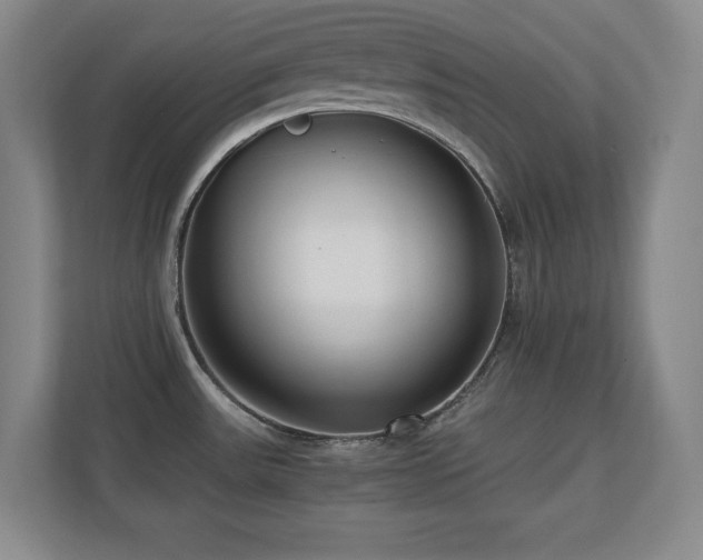 X0000110671531200906121259