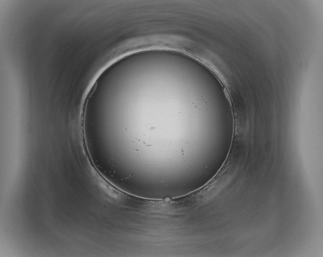 X0000110671532200906121259
