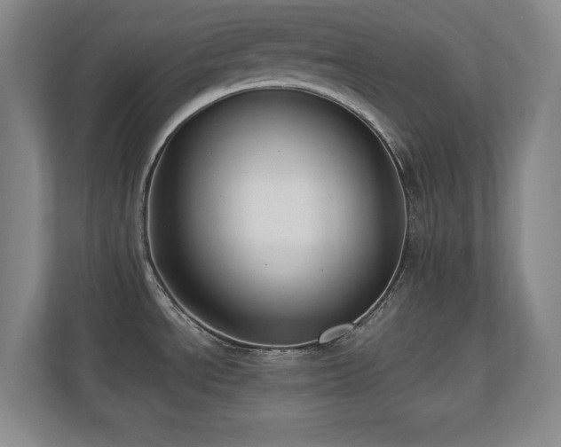 X0000110671534200906121259