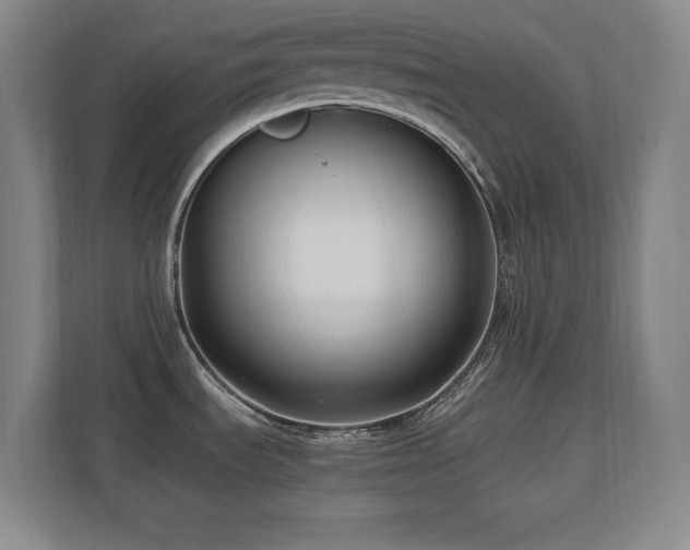 X0000110671535200906121259