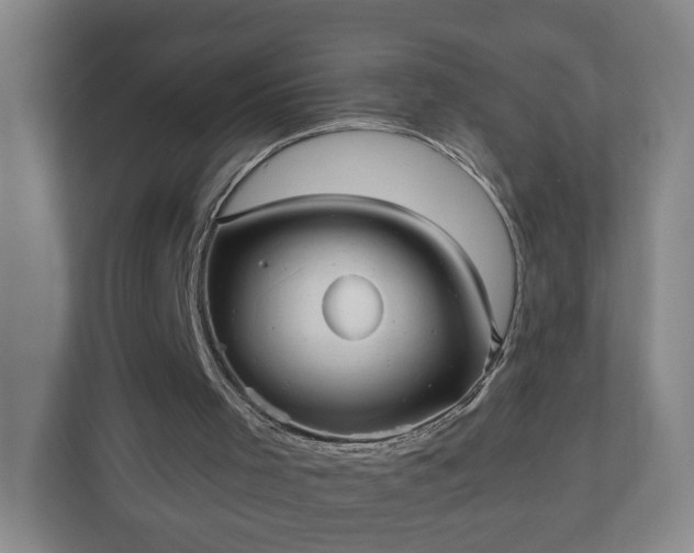 X0000110670001200906191354