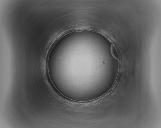 X0000110670002200906191354