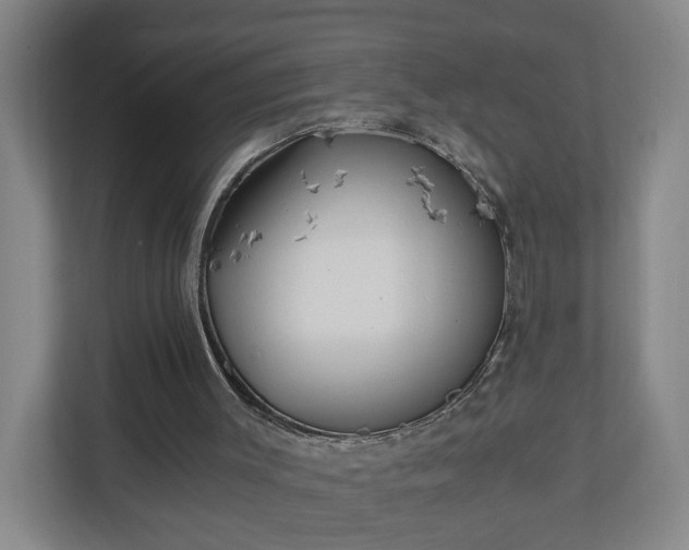 X0000110670003200906191354
