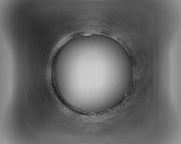 X0000110670005200906191354